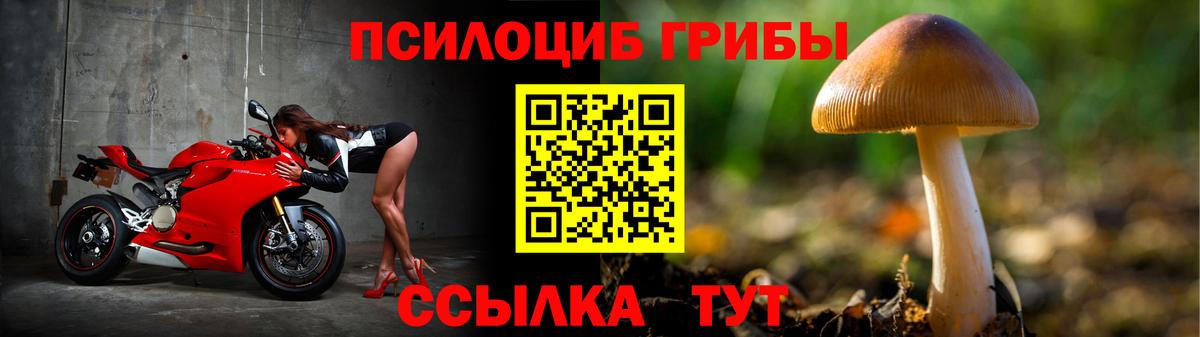 Псилоцибиновые грибы мицелий Тара